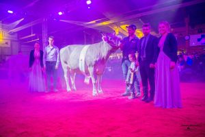 Erstmelk Champion OB
